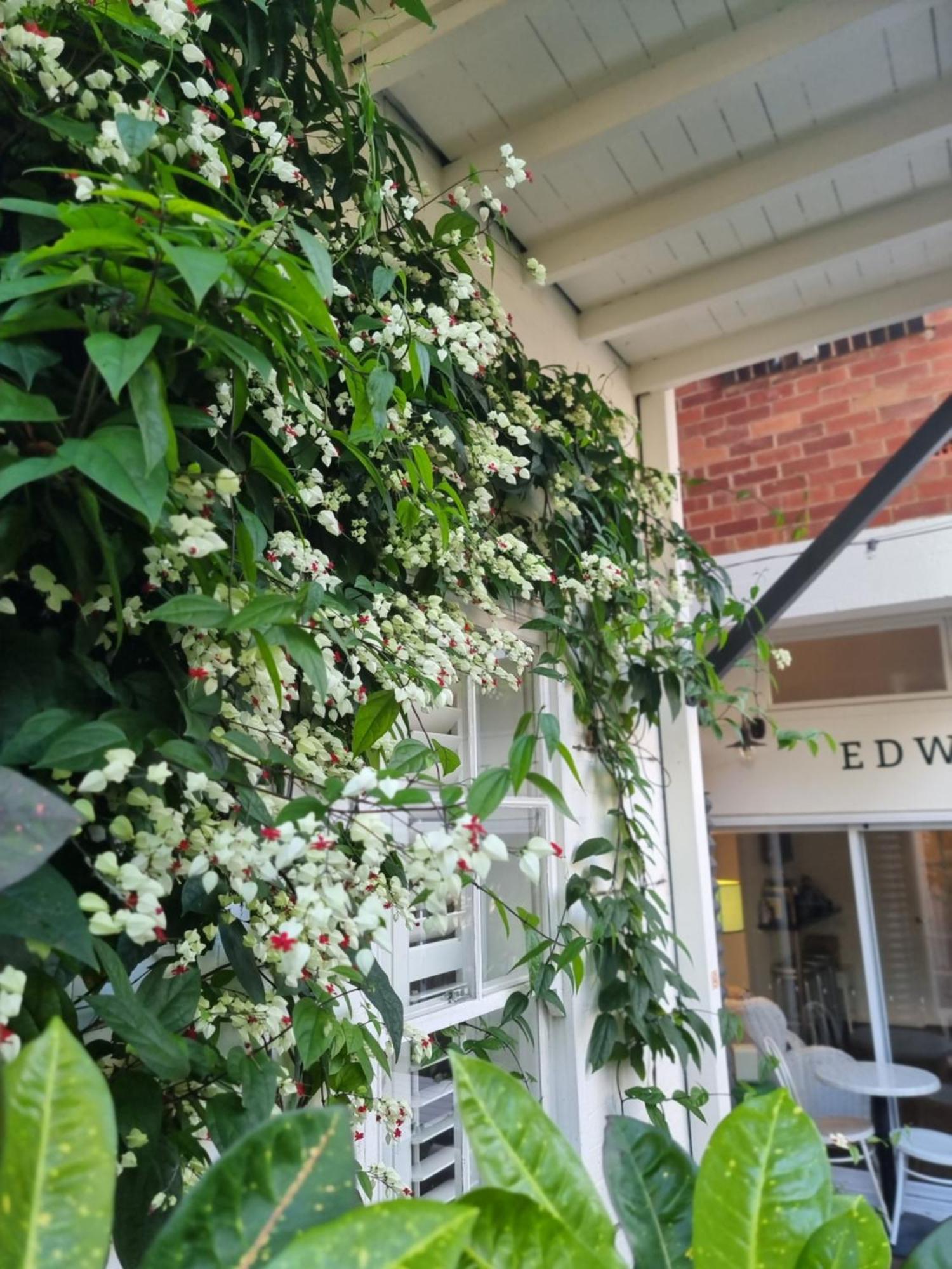 Edward Lodge New Fam Brisbane Dış mekan fotoğraf